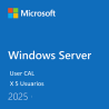 Compra Microsoft Windows Server User CAL 2025 x5 unidades